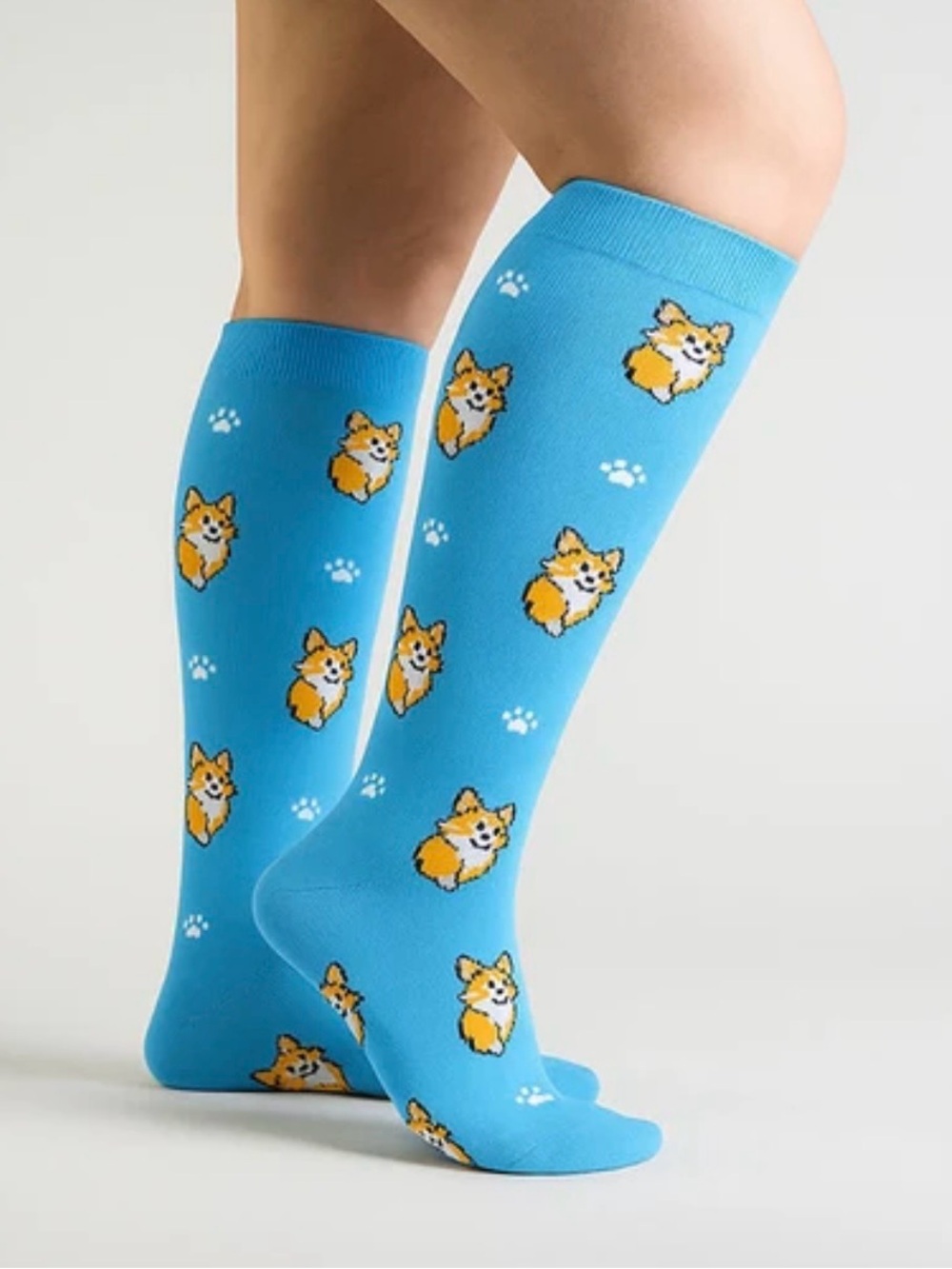 Corgi Pattern Knee-High Socks in Bright Blue